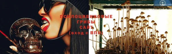 ГАЛЛЮЦИНОГЕННЫЕ ГРИБЫ Гусь-Хрустальный