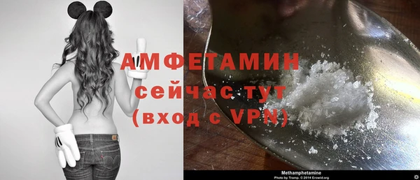 ГАЛЛЮЦИНОГЕННЫЕ ГРИБЫ Гусь-Хрустальный