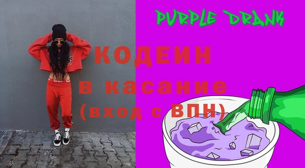 ГАЛЛЮЦИНОГЕННЫЕ ГРИБЫ Гусь-Хрустальный